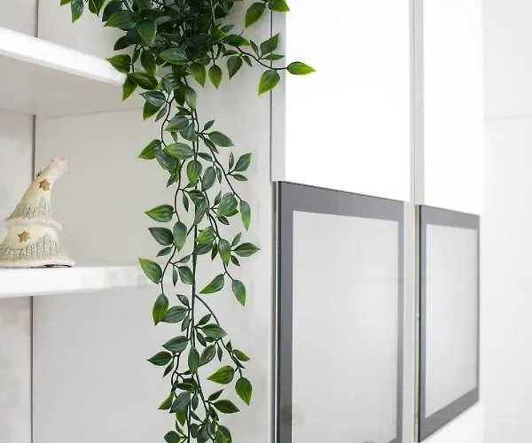 White Orchid Apartman