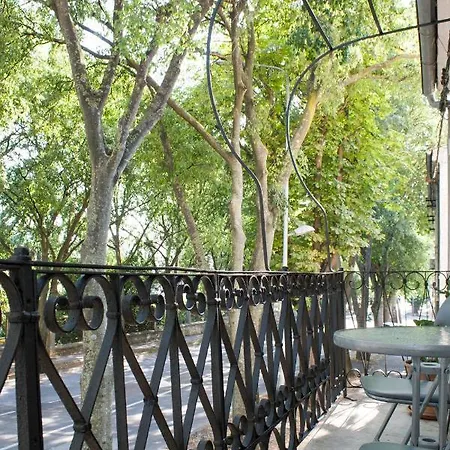 White Orchid Apartment *