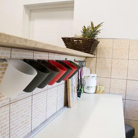 Apartment White Orchid *