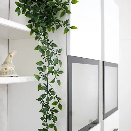 White Orchid Apartment