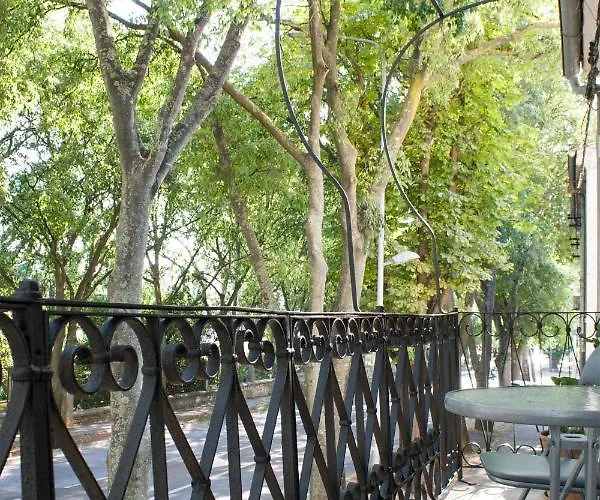 White Orchid Daire *