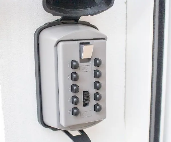 Daire White Orchid *