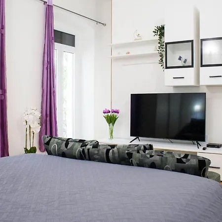 White Orchid * פולה