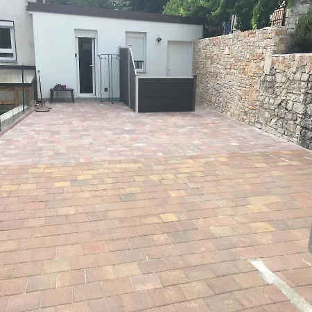 White Orchid * פולה